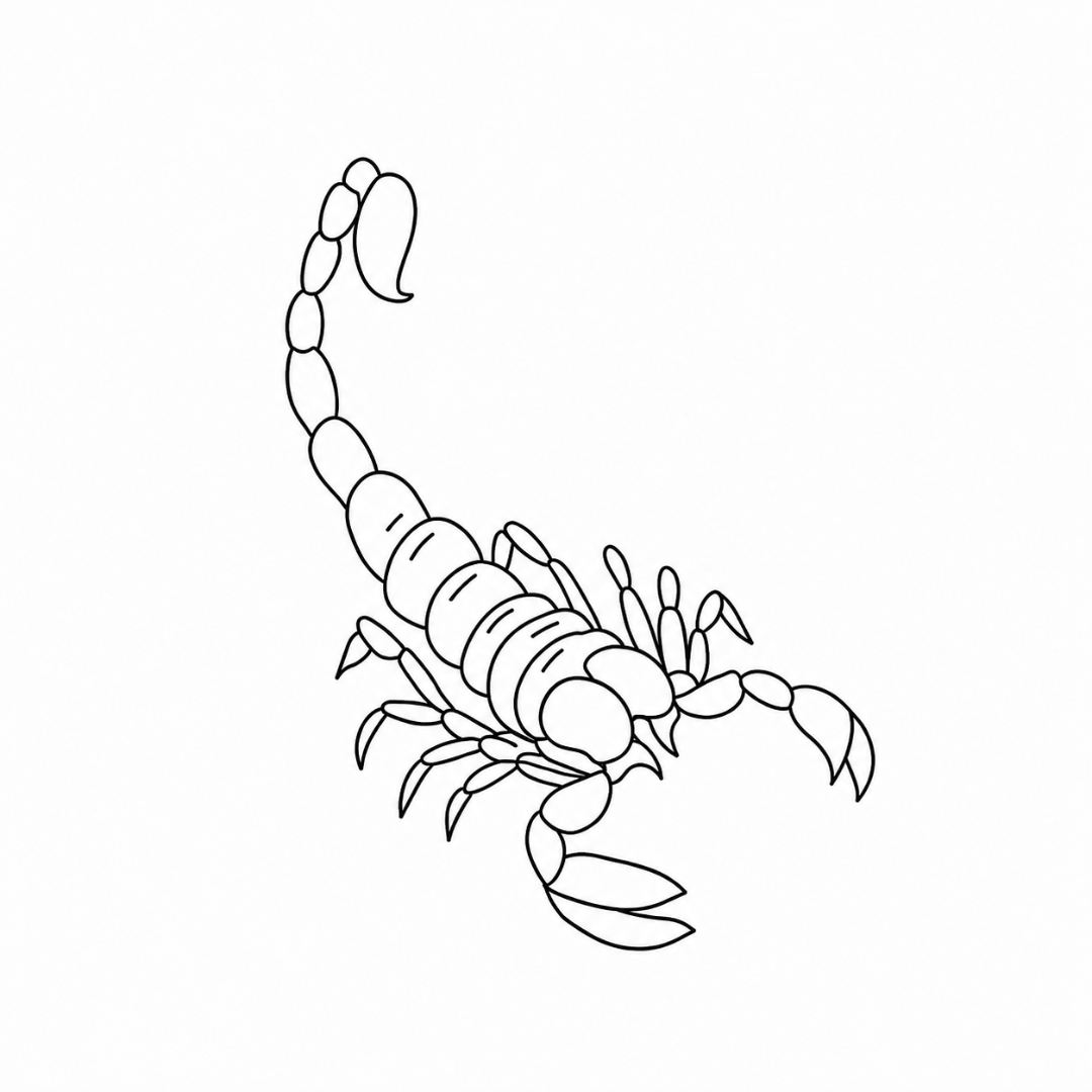 Scorpion – Fineline