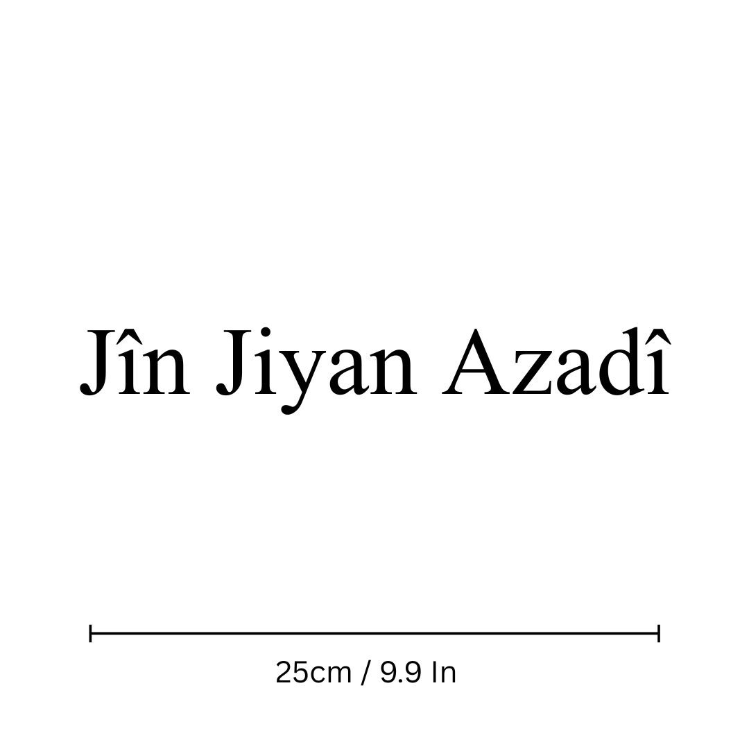 Jin Jiyan Azadî – Homme-thumbmail-2