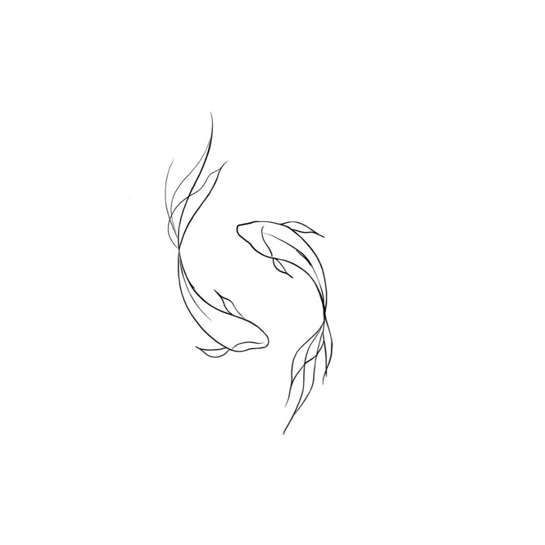 Carpes Koï – Fineline
