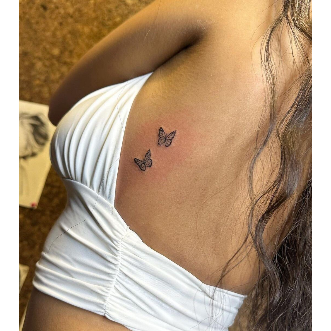 Papillon-thumbmail-2