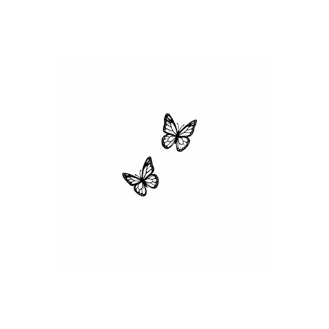 Papillon