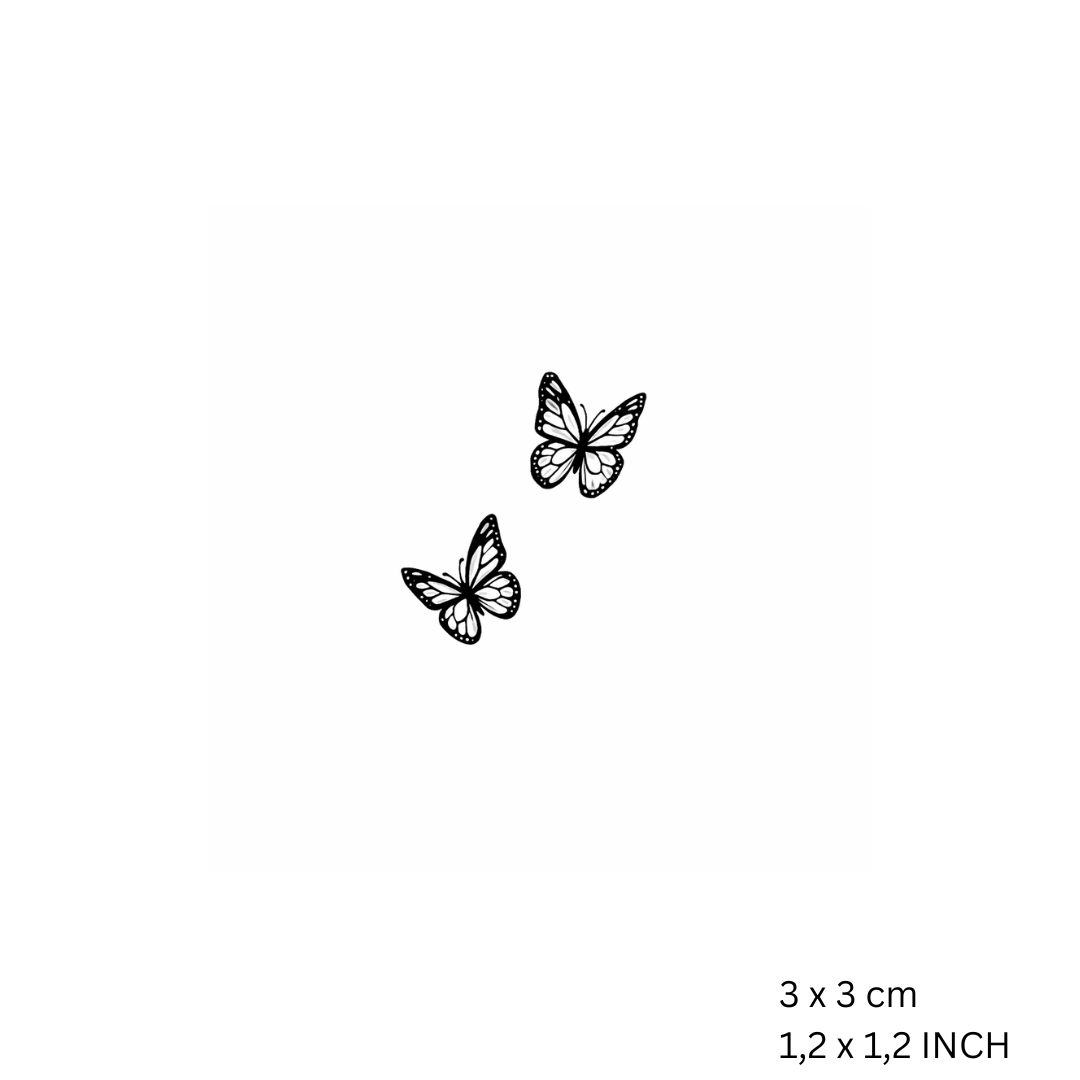 Papillon-thumbmail-3
