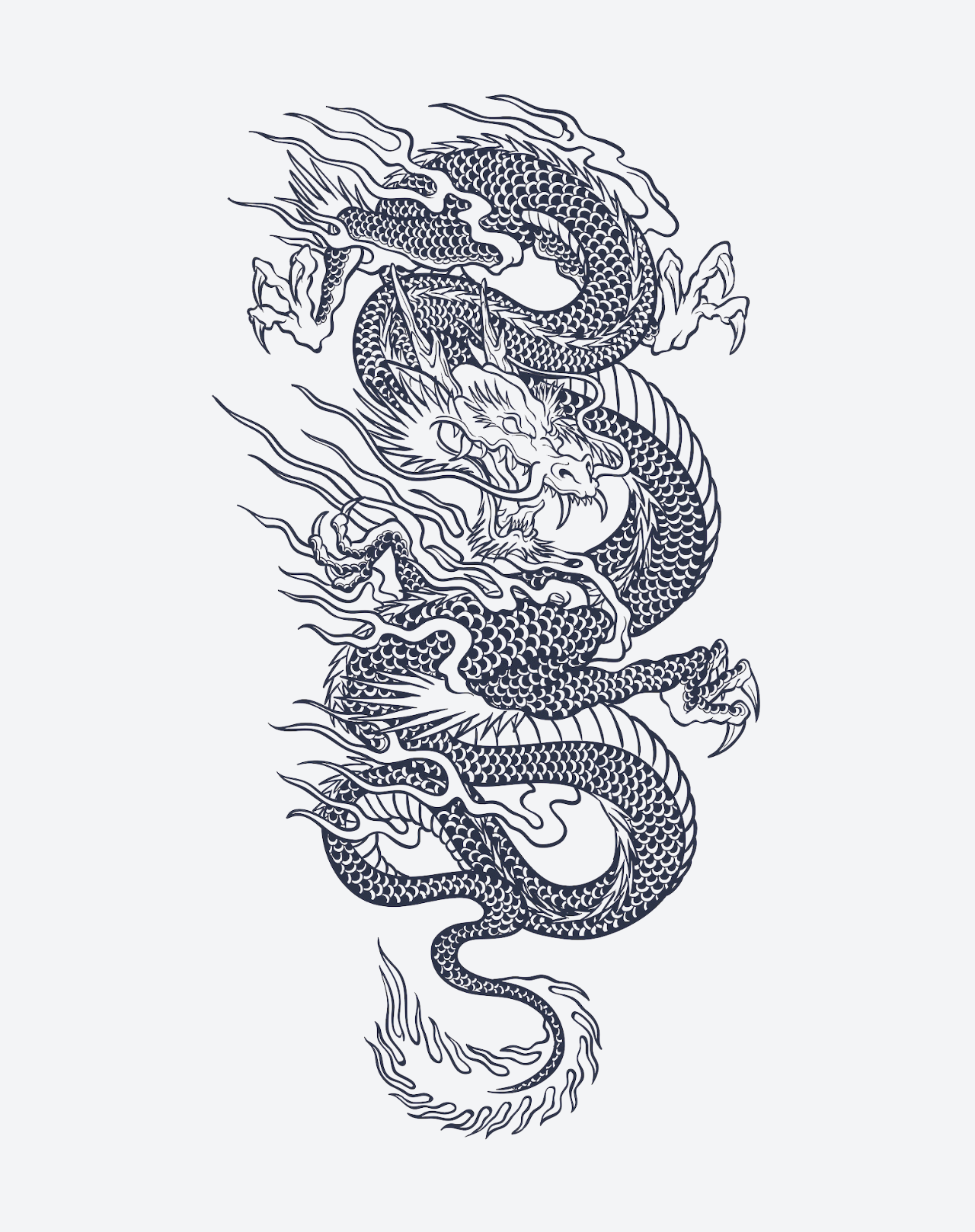 Dragon Asiatique