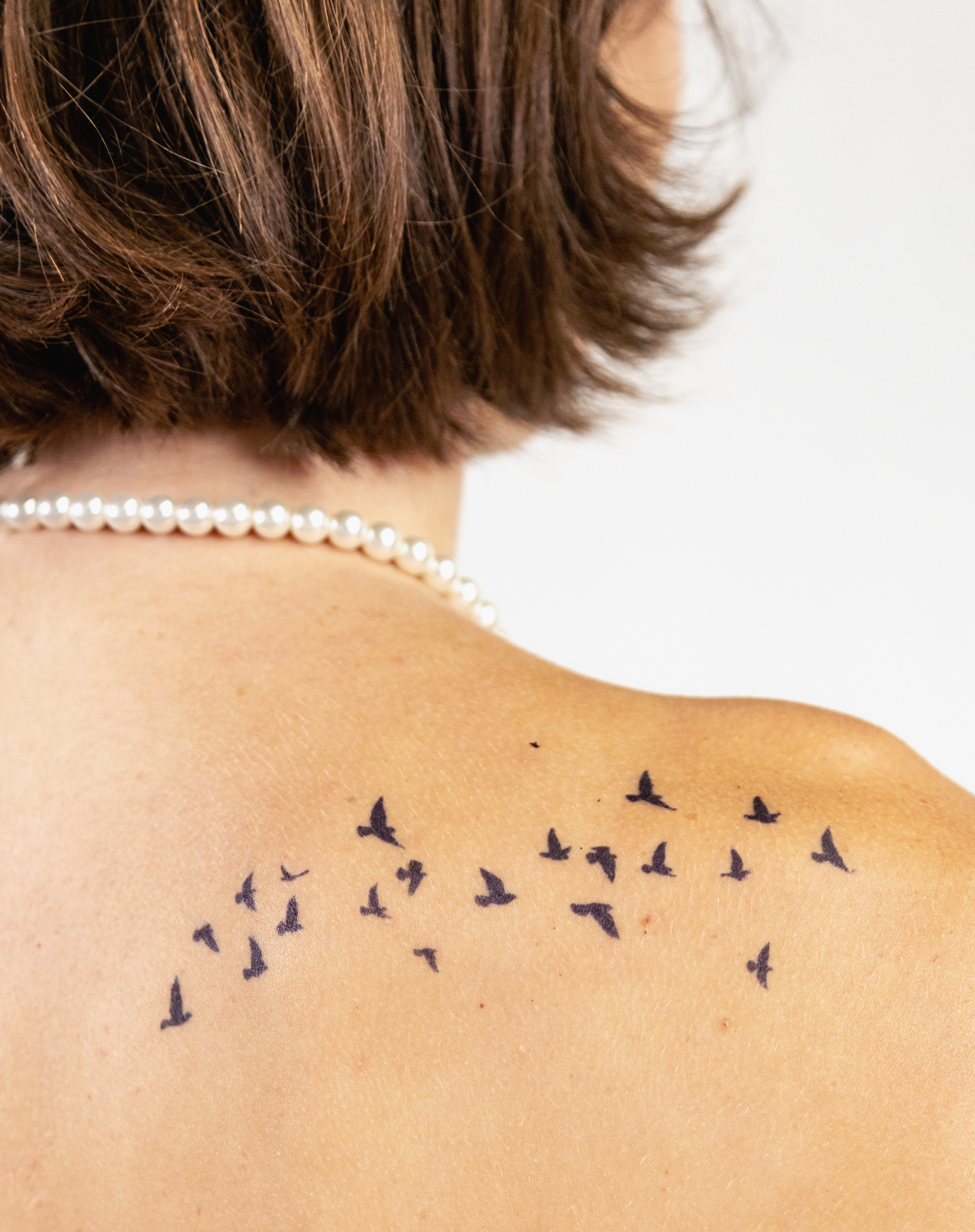 Volée d'Oiseaux