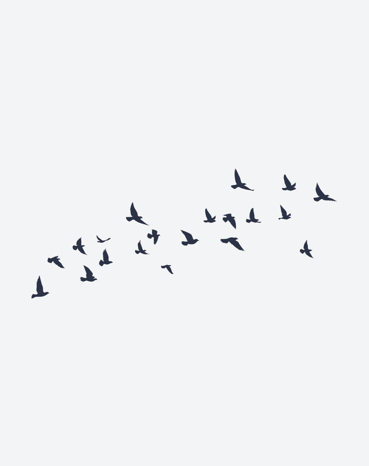 Volée d'Oiseaux-thumbmail-2