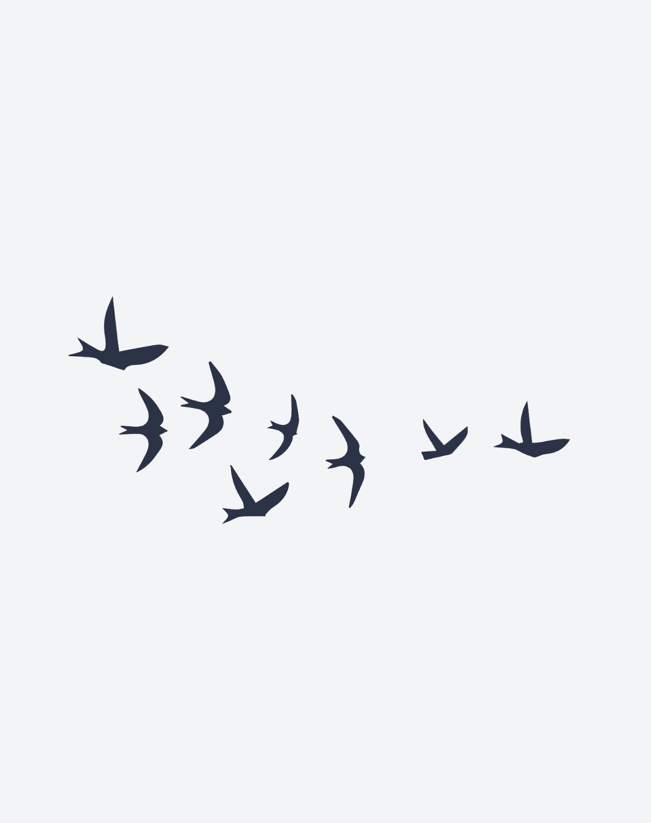 Oiseaux en Vol-thumbmail-2