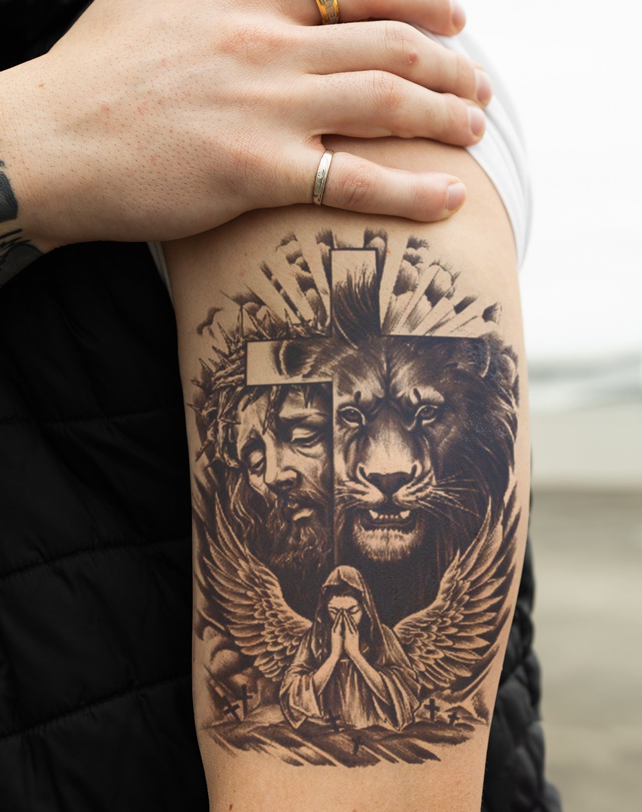 Lion Sauveur