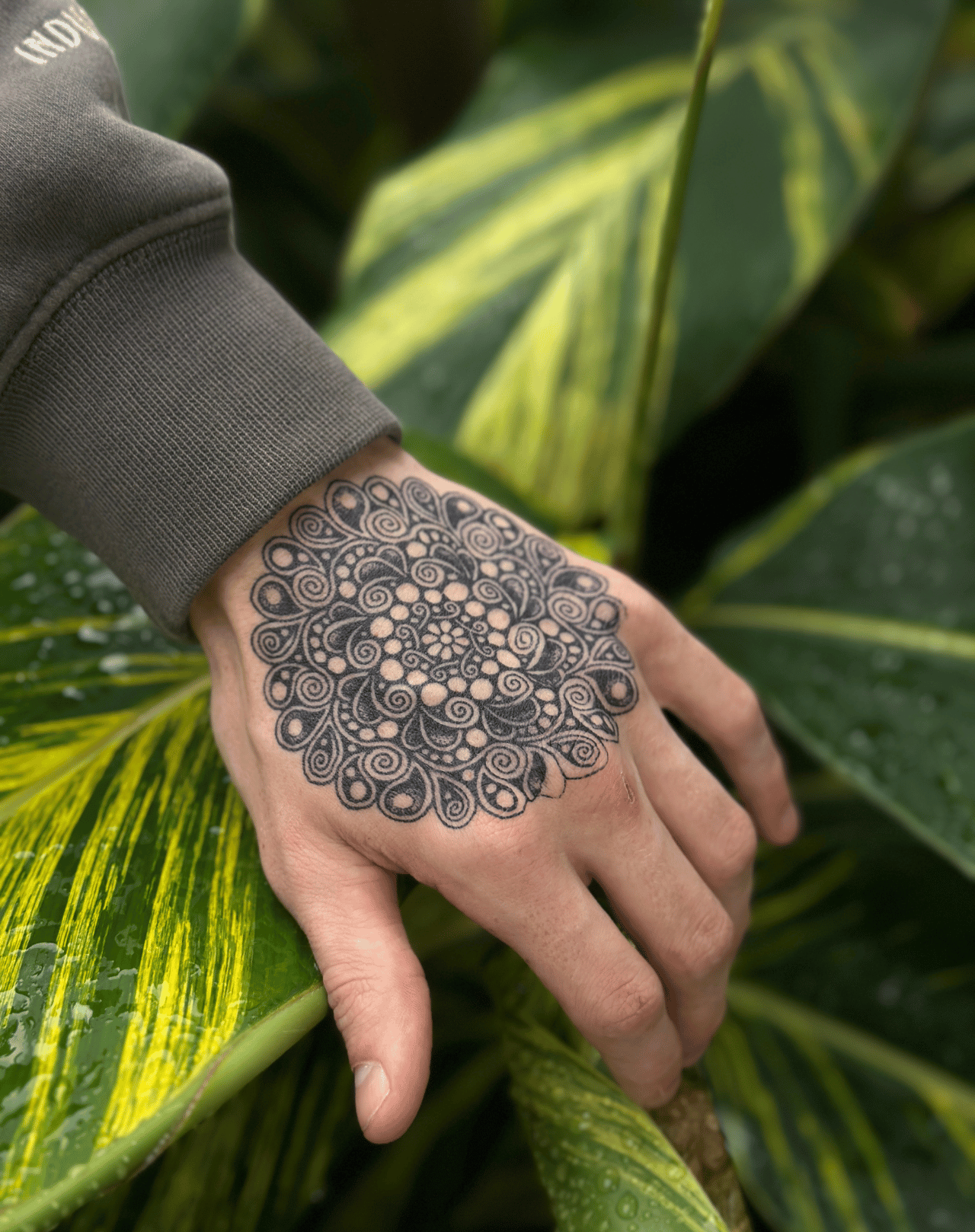 Spirales Paisley