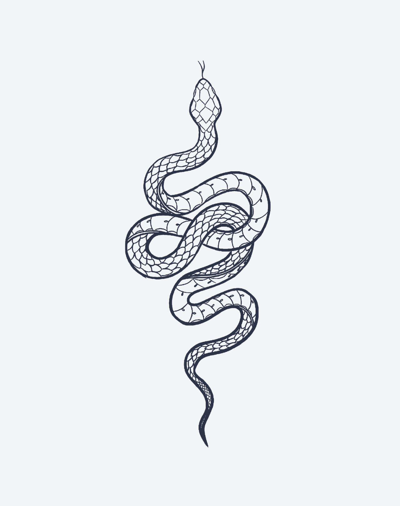 Serpent Écailleux-thumbmail-2